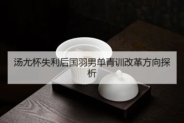 tang-you-bei-shi-li-hou-guo-yu-nan-dan-qing-xun-gai-ge-fang-xiang-tan-xi-3-133.jpg