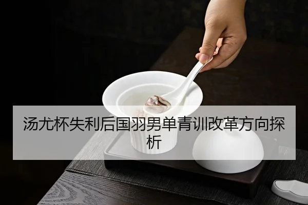 汤尤杯失利后国羽男单青训改革方向探析