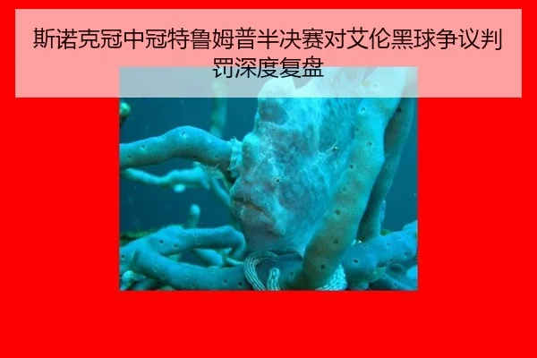 si-nuo-ke-guan-zhong-guan-te-lu-mu-pu-ban-jue-sai-dui-ai-lun-hei-qiu-zheng-yi-pan-fa-shen-du-fu-pan-2-215.jpg