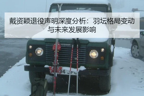 dai-zi-ying-tui-yi-sheng-ming-shen-du-fen-xi-yu-tan-ge-ju-bian-dong-yu-wei-lai-fa-zhan-ying-xiang-2-409.jpg