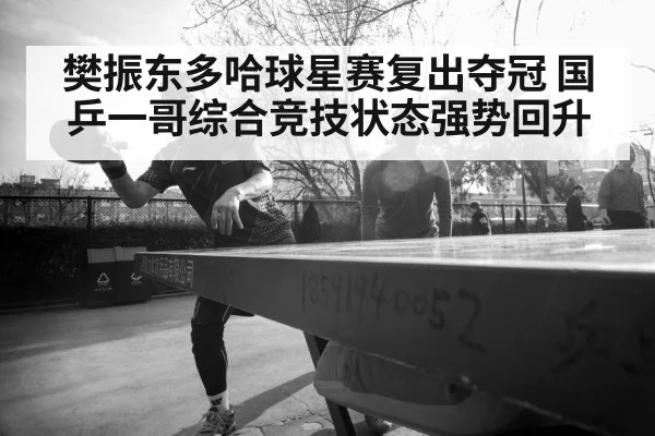 樊振东多哈球星赛复出夺冠 国乒一哥综合竞技状态强势回升