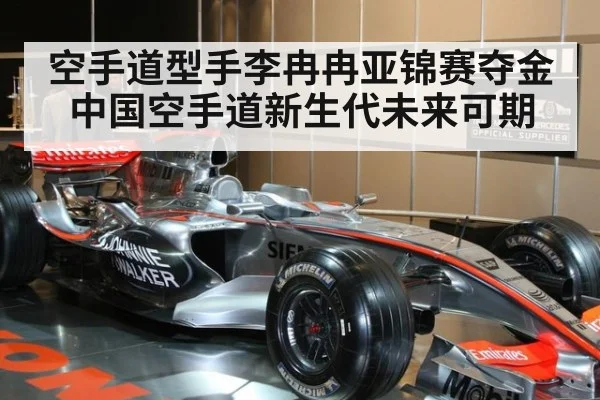 空手道型手李冉冉亚锦赛夺金 中国空手道新生代未来可期