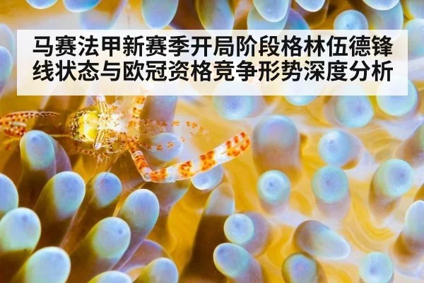 马赛法甲新赛季开局阶段格林伍德锋线状态与欧冠资格竞争形势深度分析